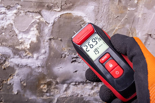 Best Local Mold Removal Service  in Ashville, AL