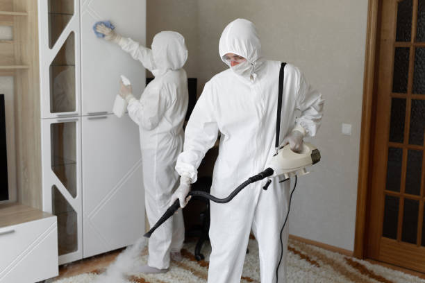 Best Local Mold Removal Service  in Ashville, AL